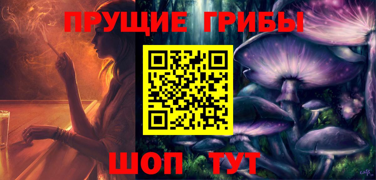 Астрахань  Галлюциногенные грибы Psilocybine cubensis  Вход с VPN 