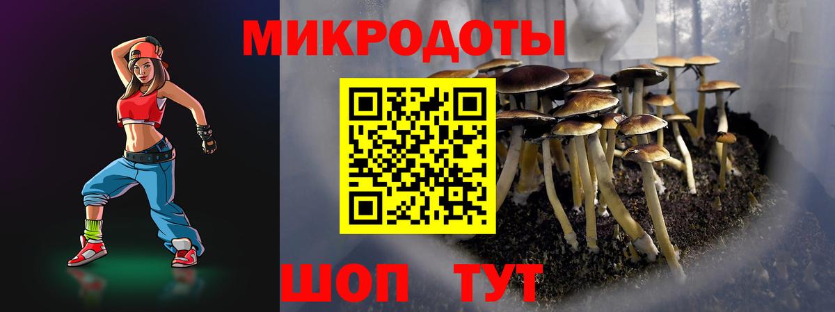 Галлюциногенные грибы ЛСД Астрахань